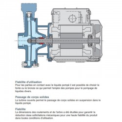 Pompe a eau Calpeda 01RAM 0,44 kW centrifuge à roue ouverte monophasé 220V