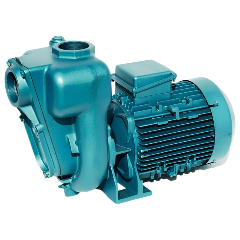 Pompe a eau Calpeda 0112RAM 0,75 kW à roue ouverte jusqu'à 19,5 m3/h monophasé 220V