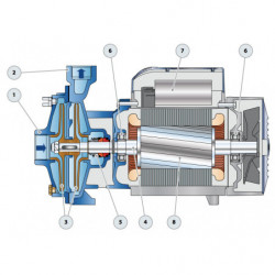 HF 4 - Pompe électrique centrifuge en trois phases - Pedrollo